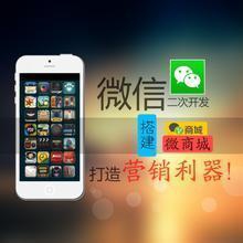 北京微信定制--正宇飞鸟